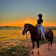 Horseback riding in a trail!